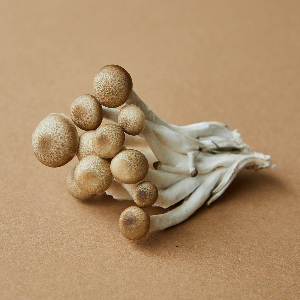 Sourcing Excellence: The Journey of Ingredients for Our High-Quality Supplements